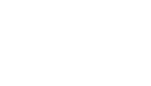 Delilah Rae Boutique